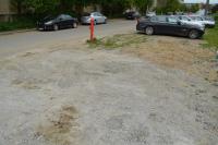 Imagine atasata: onlineimageresize_com_DSC_2456.JPG